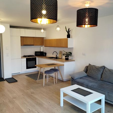 Studio Park Slaski M.10 Katowice/Хожув Экстерьер фото